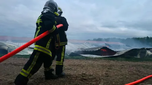 Haute-Garonne: environ 9 000 poulets périssent dans un incendie à...