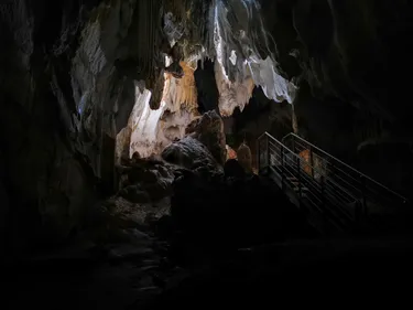 Grottes de Gargas. Et si vous plongiez dans les entrailles de la...