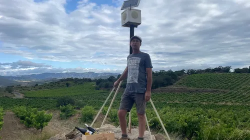 Pyrénées-Orientales : Il soigne ses vignes avec des notes de musique