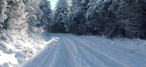 La station de ski nordique de Picotalen ouvre ses pistes, à Lacaune!