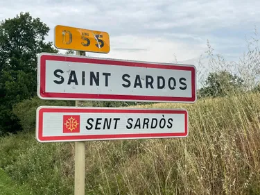 Un taureau en cavale effraie tout un village du Tarn-et-Garonne !