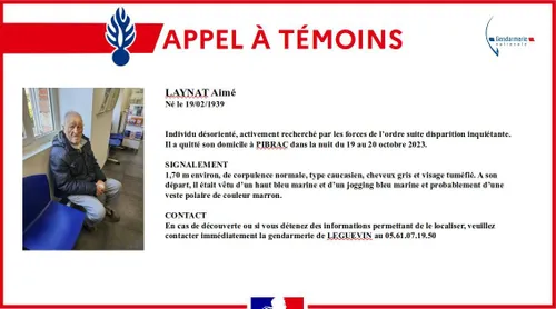 Disparition. Avez-vous vu Aimé près de Toulouse ? 