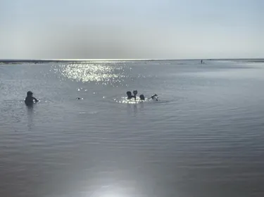 Qualité des eaux de baignade : on vous dit quels plans d’eau éviter...