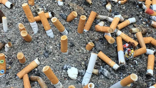 Pyrénées-Orientales : Opération sans mégots à Canet-en-Roussillon !