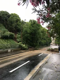 Rues inondées, glissement de terrain : un orage dantesque s'est...