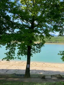 Bonne nouvelle pour l'Ariège et la Garonne : le lac de Montbel se...