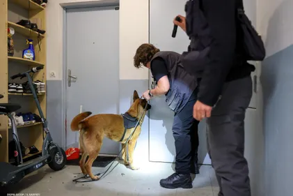 Toulouse. La police démantèle le supermarché de la "défonce"