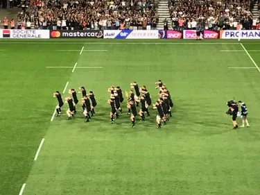 Coupe du monde 2023. Les All blacks ne font qu'une bouchée de la...