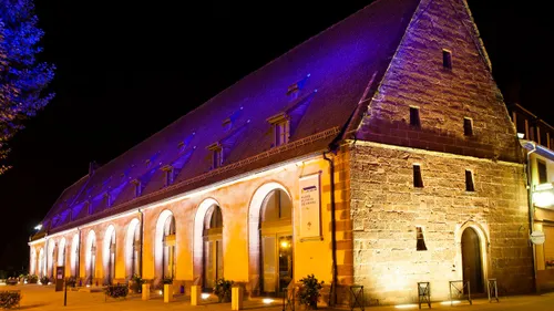 Nuit des musées : nos coups de coeur en Alsace