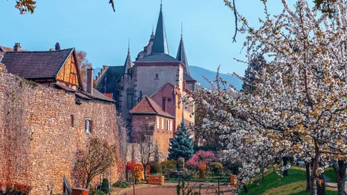Malgré la pluie, l’Alsace en fleurs