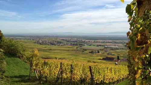 Les plus beaux circuits de rando en Alsace