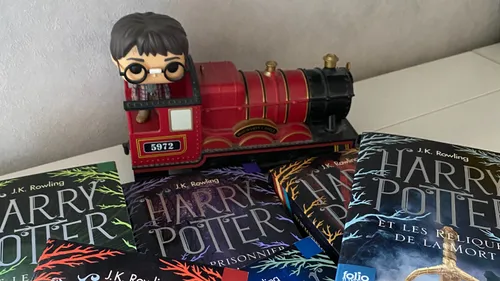La magie de Harry Potter va s’emparer des librairies alsaciennes