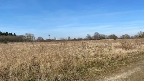 Une centrale photovoltaïque va voir le jour à Reichstett