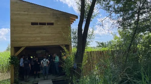 Sélestat : un nouvel observatoire dans l’Illwald