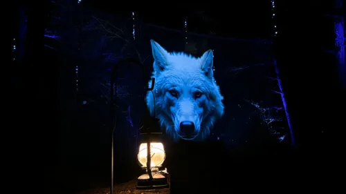 Un parcours nocturne féérique au parc de Sainte-Croix