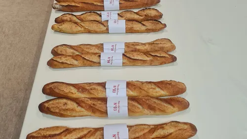Quelle est la meilleure baguette tradition du Bas-Rhin ?