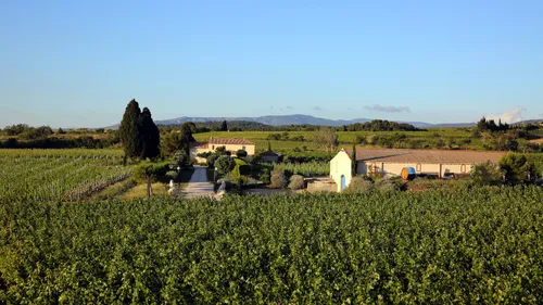 Un vignoble entre Alsace et Languedoc
