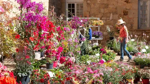 Narbonne : Un programme d’exception pour la fête des plantes et du...