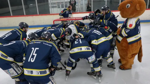 Hockey sur glace : Les Castors d'Avignon affichent leurs ambitions