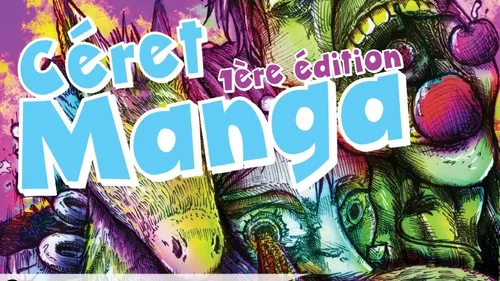 Près de Perpignan : un festival de Manga ce samedi