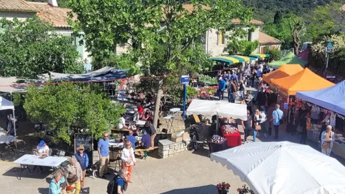 Hérault : cette commune va accueillir une grande fête des fleurs !