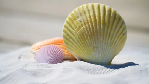 Arnaques estivales : comment les éviter pour des vacances sans...