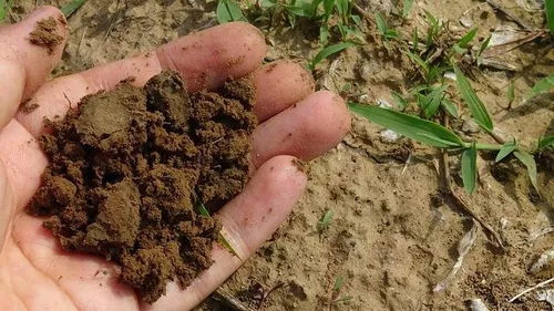 Quatre opérations “compost gratuit” pour les Nîmois, la première ce...