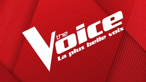 La tournée The Voice arrive dans le sud