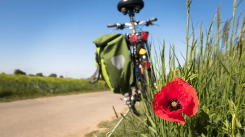 Balades familiales à vélo : 5 itinéraires sécurisés pour les...