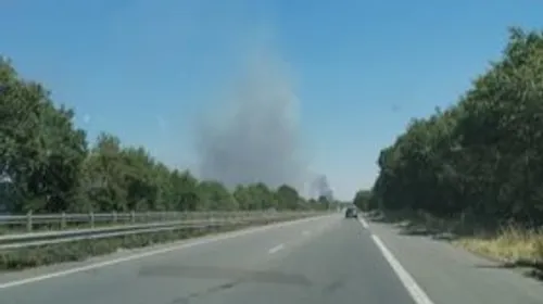 Loire-Atlantique : reprise de flammes sur l'incendie de Besné