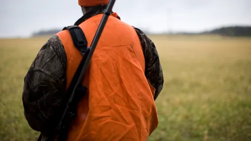 Accident de chasse mortel près de Rennes