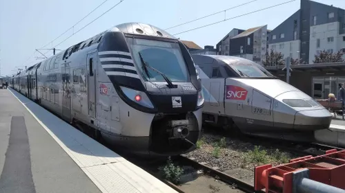Le trafic SNCF paralysé dans le sud Bretagne par une souche d’arbre