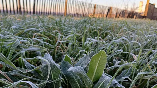 Soleil et températures négatives : la météo de cette semaine