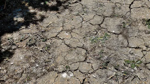 Loire-Atlantique : nouvel arrêté préfectoral lié à la sécheresse