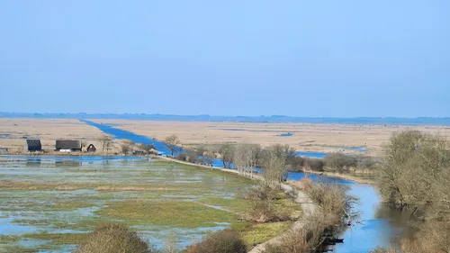 Loire-Atlantique : des élus se mobilisent pour sauver le marais de...