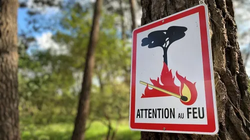 Feux de forêt : un été sous tension dans l’Ouest, la vigilance est...
