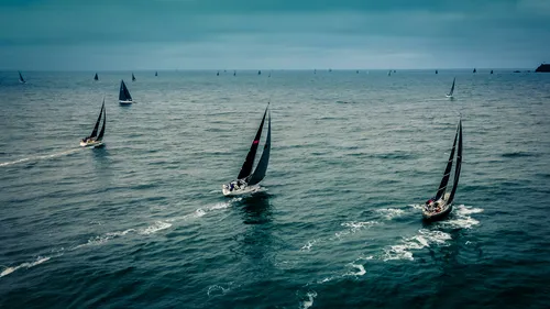 Transat Café l'Or : cap sur la Martinique pour les 148 skippers en...