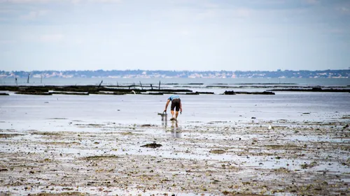 Loire-Atlantique : levée progressive de restriction de la pêche