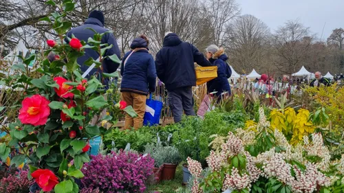 Cheverny, comme un avant-goût des beaux jours... malgré le froid !