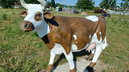 A Saint-Etienne-du-Rouvray, le rond-point des vaches a retrouvé ses...