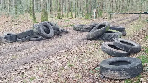 Un dépôt sauvage découvert à Saint-Léonard-des-Bois