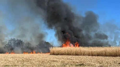Houssay : plus de six hectares partent en fumée