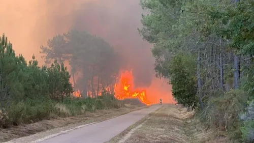Arès : une centaine d'hectares brûlée, plus de 300 personnes évacuées