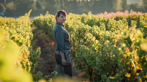 Sur Instagram, Isabelle Pangault alerte sur la situation des vignerons