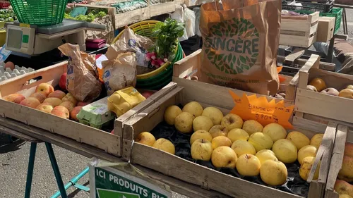 Le Mans : les travaux commencent, le marché déménage