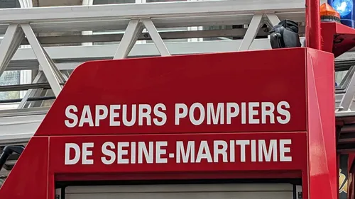 Saint-Jean-du-Cardonnay : les pompiers interviennent pour un feu de...