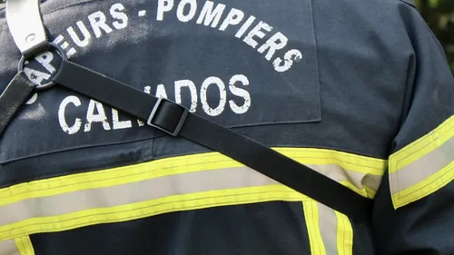 Trois voitures et une haie brulées à Caen