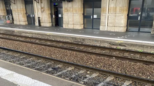 Tempête Herminia : le trafic ferroviaire perturbé en Sarthe