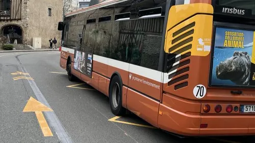 Le Mans : on lui refuse l'accès au bus avec son chien, il s'énerve...