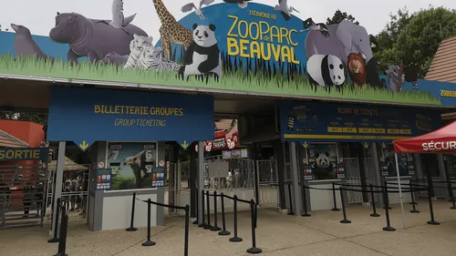 Loir-et-Cher : une fréquentation stable au Zoo de Beauval